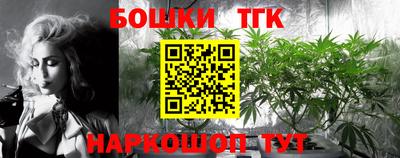 гашик Бузулук