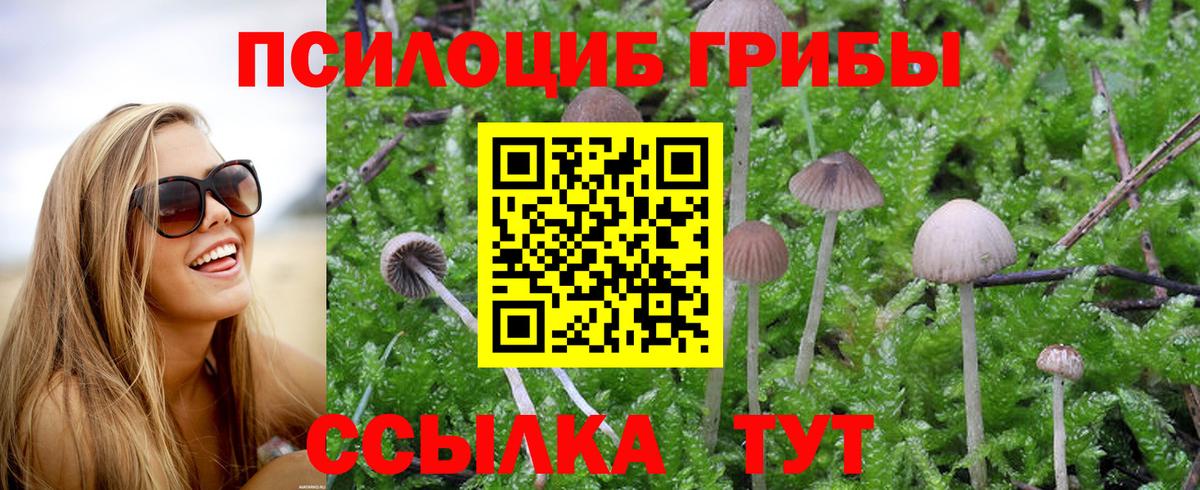 Псилоцибиновые грибы GOLDEN TEACHER  Галлюциногенные грибы мухоморы  Новокуйбышевск  Вход с VPN 